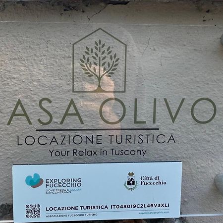 Apartamento Locazione Turistica Casa Olivo Fucecchio Exterior foto
