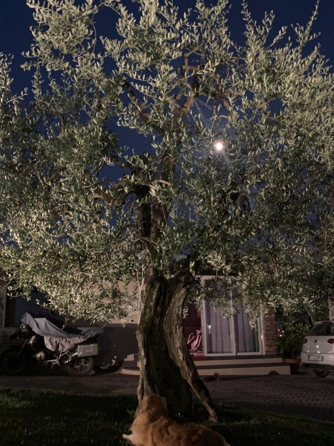 Apartamento Locazione Turistica Casa Olivo Fucecchio Exterior foto