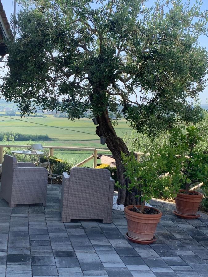 Apartamento Locazione Turistica Casa Olivo Fucecchio Exterior foto