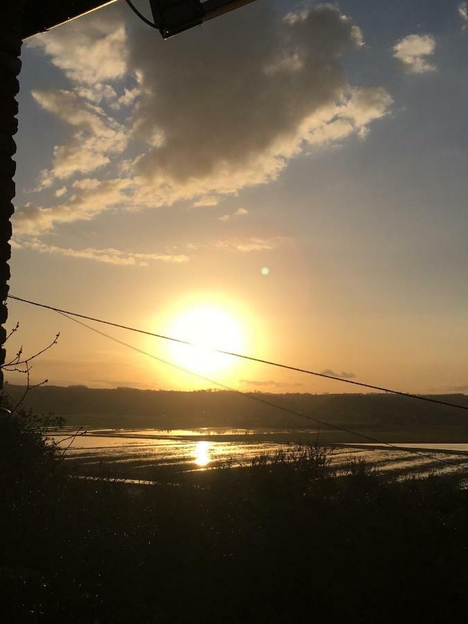 Apartamento Locazione Turistica Casa Olivo Fucecchio Exterior foto