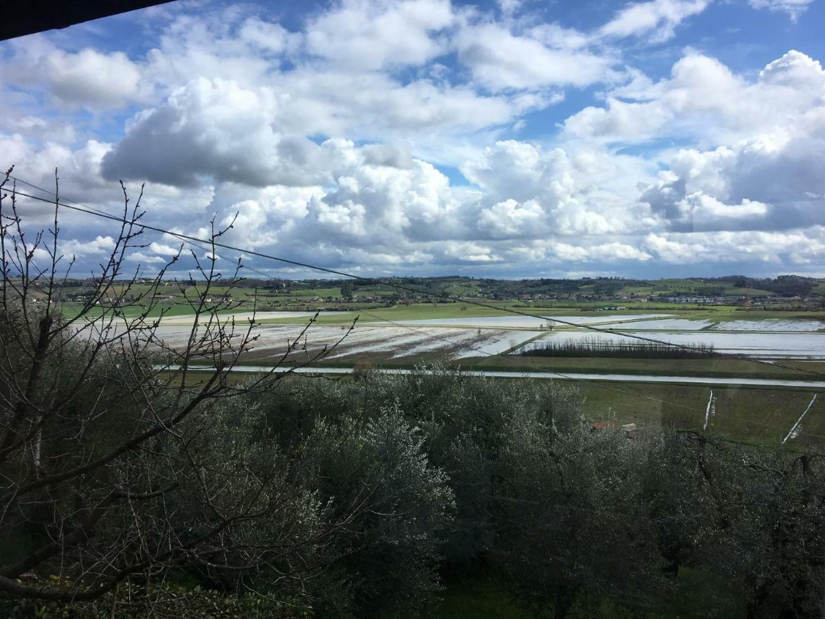 Apartamento Locazione Turistica Casa Olivo Fucecchio Exterior foto